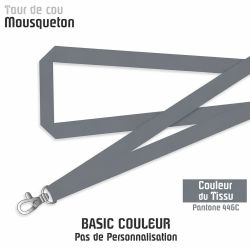 COLOR-PRO GRIS CENDRÉ 446C